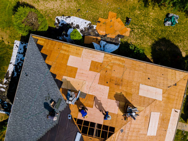 Best Local Roofing Companies  in Grace, ID